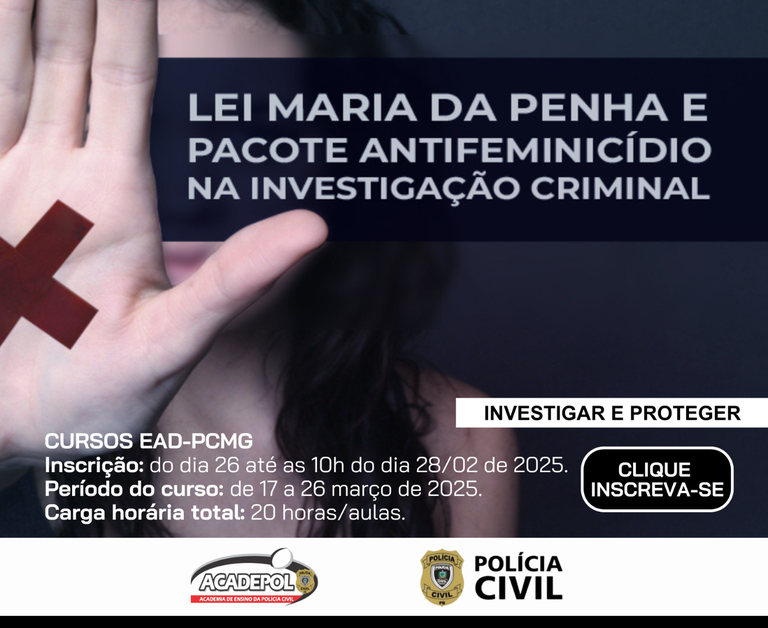 LEI MARIA DA PENHA .png