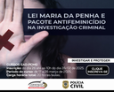 LEI MARIA DA PENHA .png